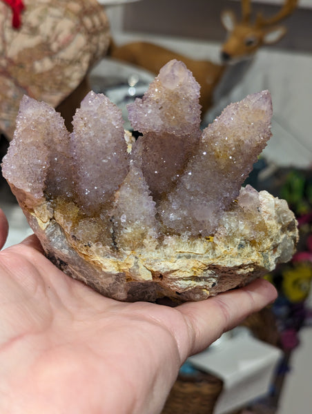 Pink Cactus/Spirit Quartz