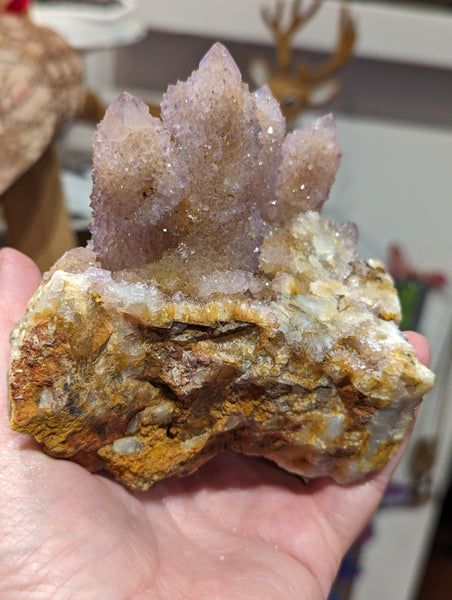 Pink Cactus/Spirit Quartz