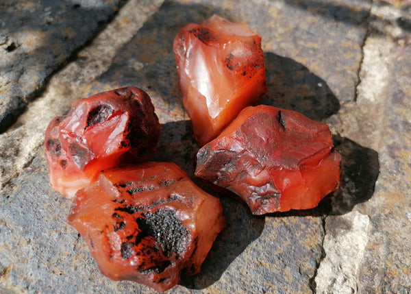 Rough Carnelian