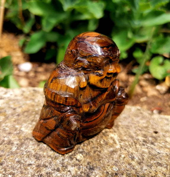 Tiger Eye Buddha