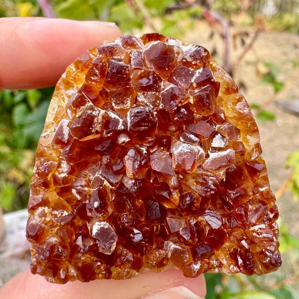 Citrine druzy cluster 3-5cm citrine raw cluster by elf