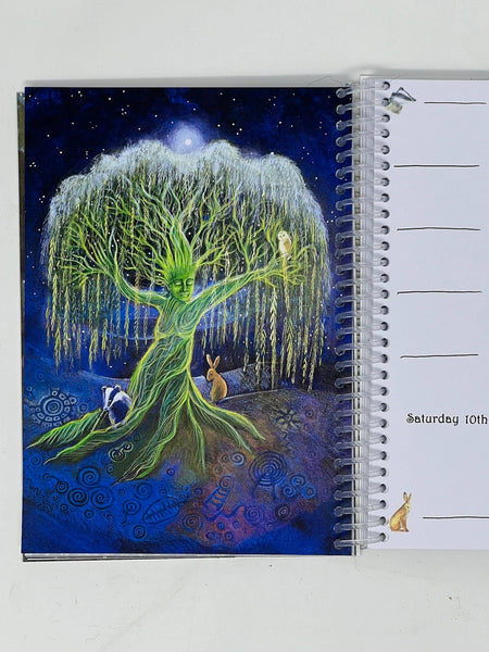 Hannah Willow 2025 Diary