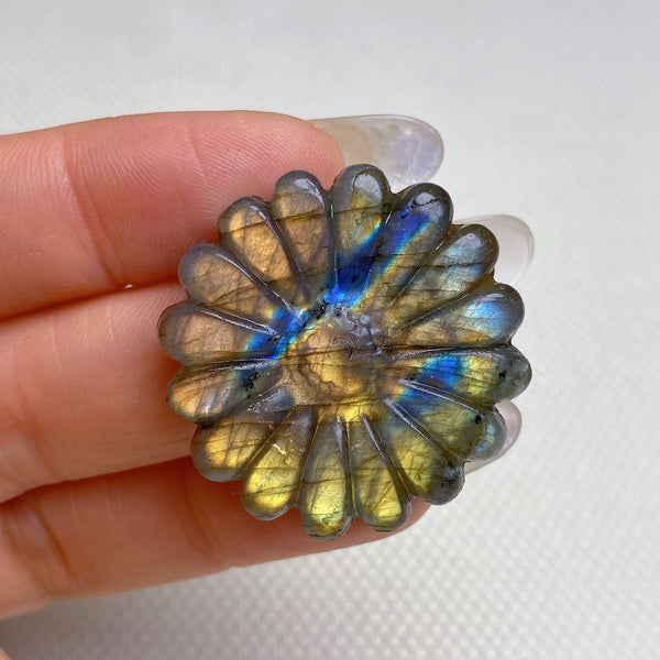 Natural Labradorite Daisy Healing wholesale