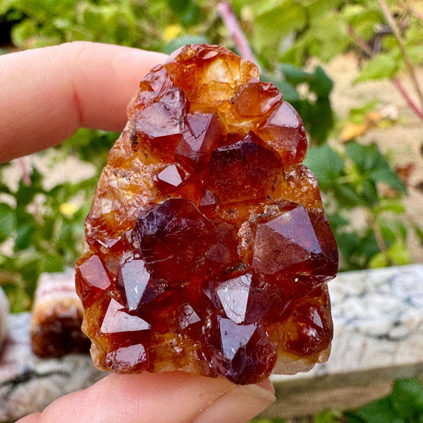Citrine druzy cluster 3-5cm citrine raw cluster by elf