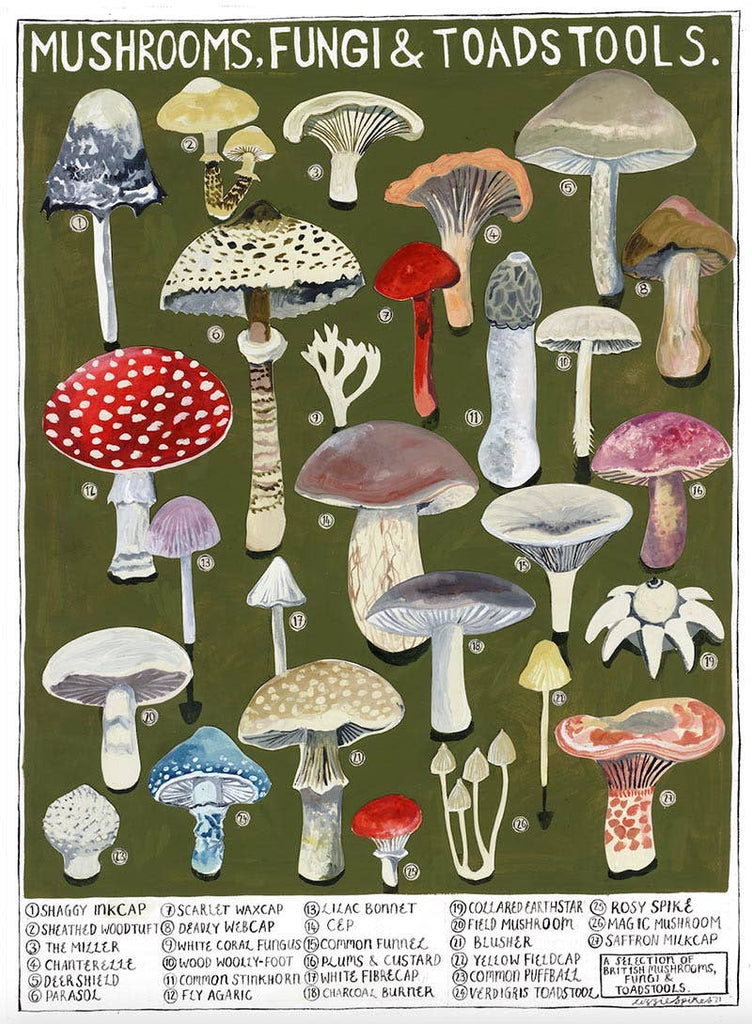Mushrooms Large Greetings Card