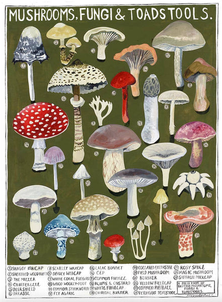 Mushrooms Large Greetings Card