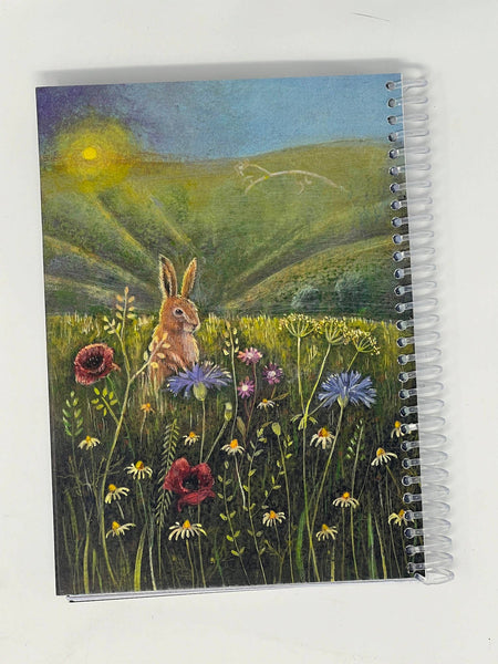 Hannah Willow 2025 Diary