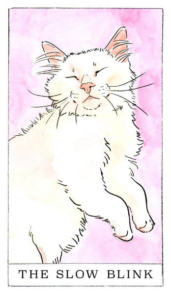 Kitten Oracle - 50 Cards & Guidebook (Flash Cards (Decks))