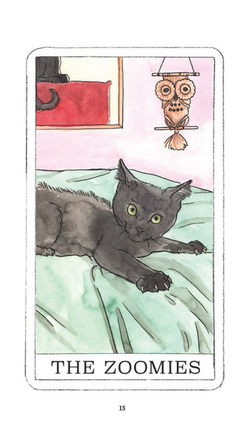 Kitten Oracle - 50 Cards & Guidebook (Flash Cards (Decks))