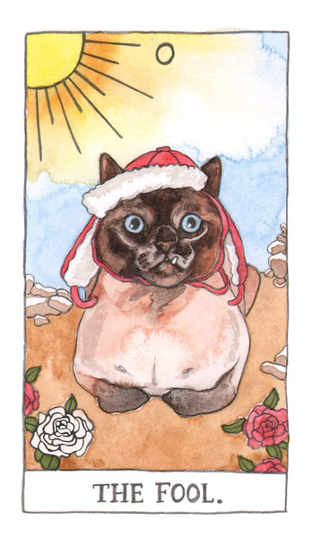 Cat Tarot: 78 Cards and Guidebook - Illustrated by Megan Lynn Kott