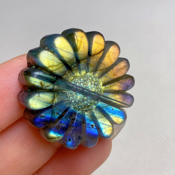 Natural Labradorite Daisy Healing wholesale