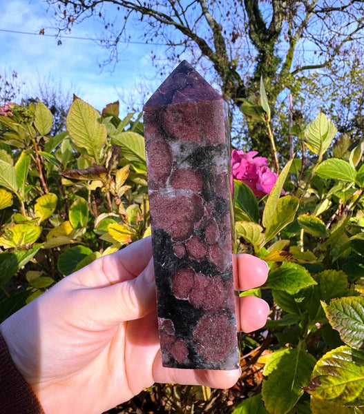 Garnet tower 12.4cm tall garnet in matrix 4.9 inch point