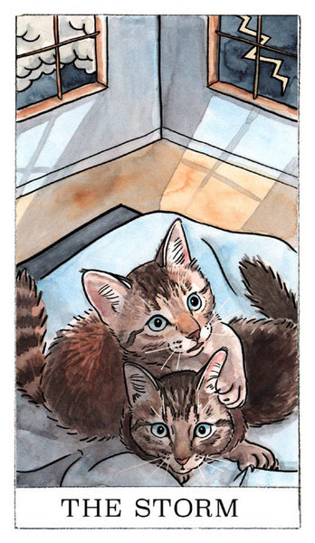 Kitten Oracle - 50 Cards & Guidebook (Flash Cards (Decks))