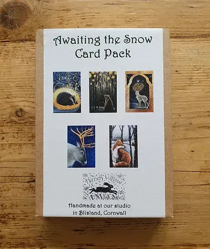 Awaiting the Snow Christmas greetings card pack