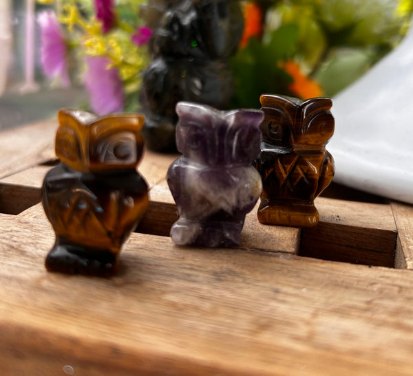 Amethyst Owl