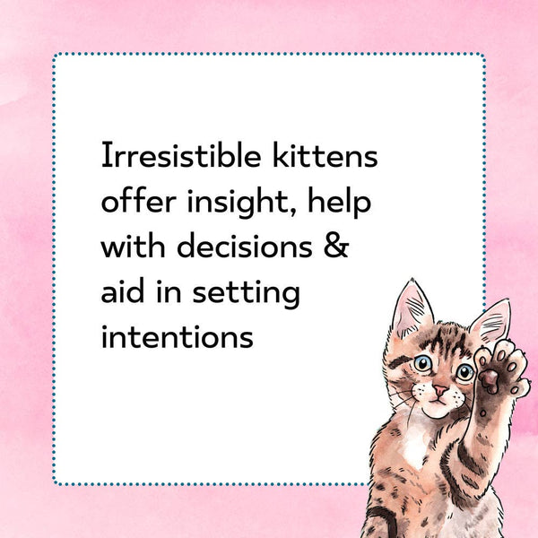 Kitten Oracle - 50 Cards & Guidebook (Flash Cards (Decks))