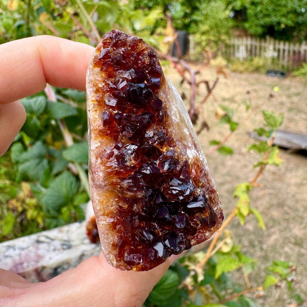 Citrine druzy cluster 3-5cm citrine raw cluster by elf